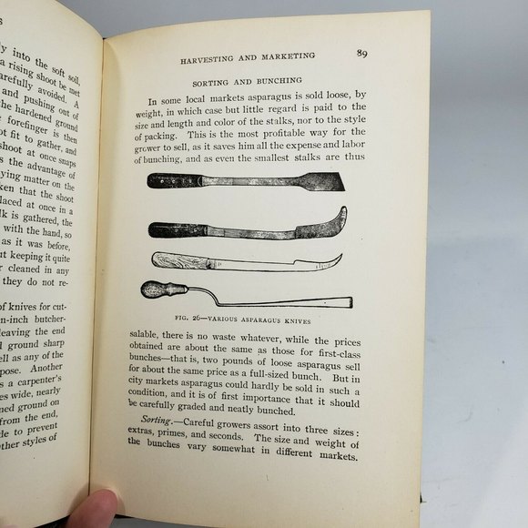 Antique 1920 Agriculture Book Asparagus Its Culture for Home Use and for Market - Picture 7 of 12